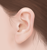 귓볼 필러 Before