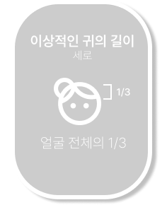 이상적인 귀의 길이