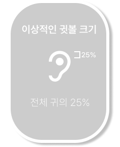 이상적인 귓불 크기