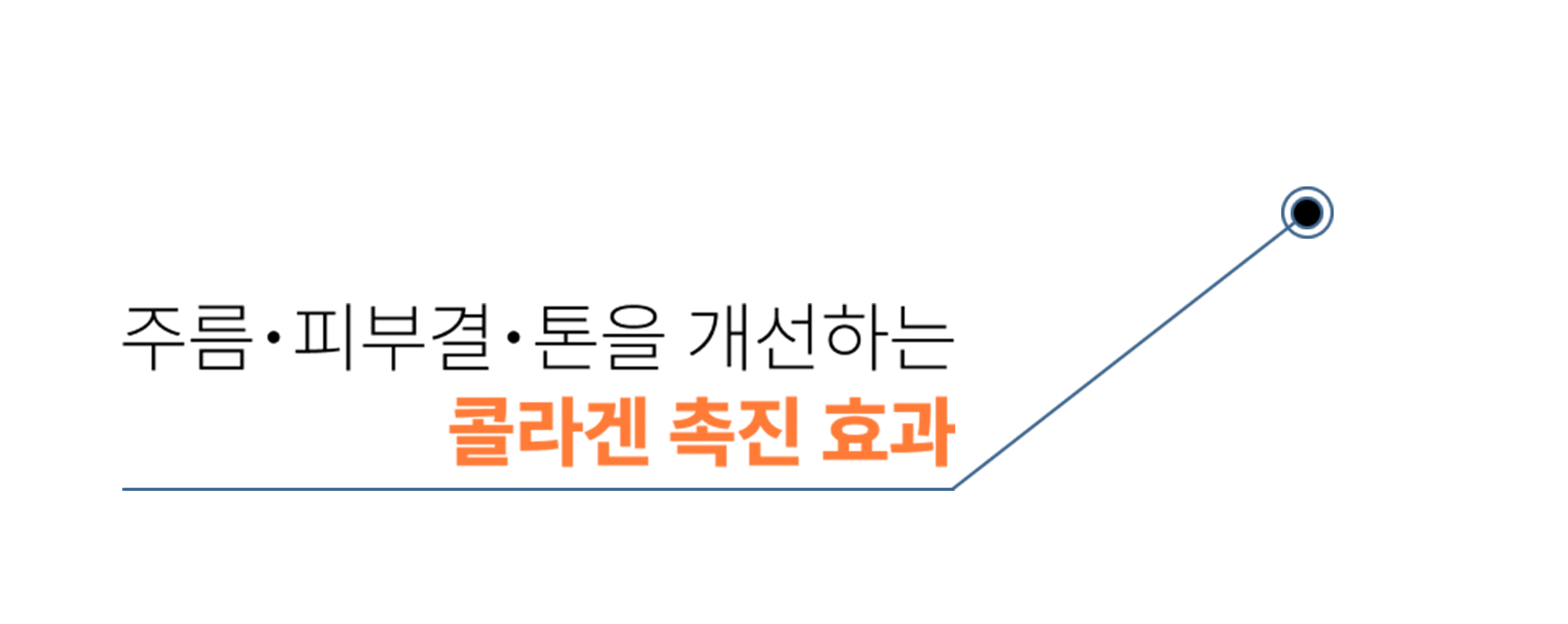 콜라겐 촉진 효과